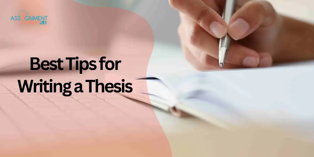 Blog Image - Best Tips for Writing Thesis