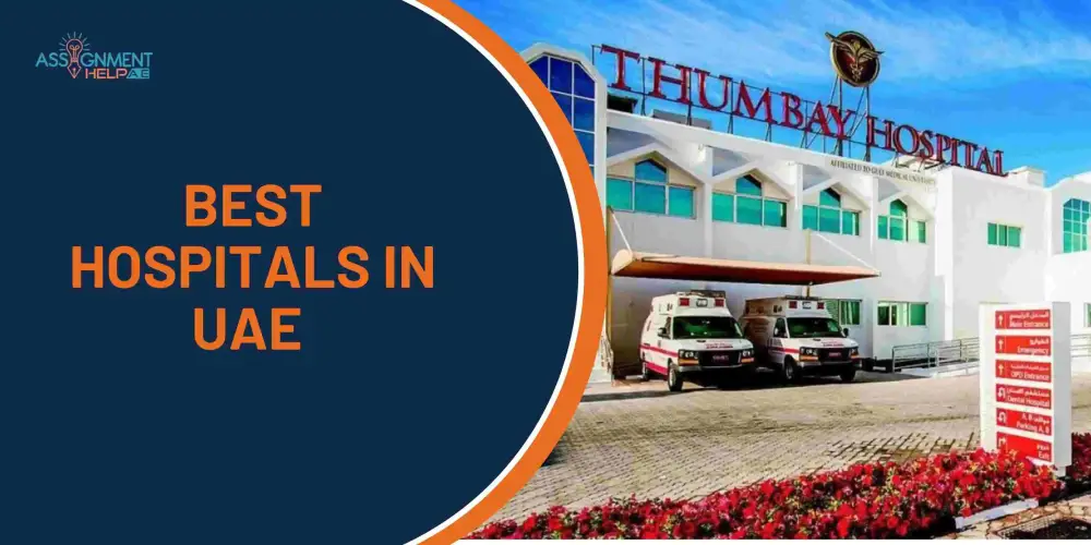 Blog Image - Best Hospitals in UAE